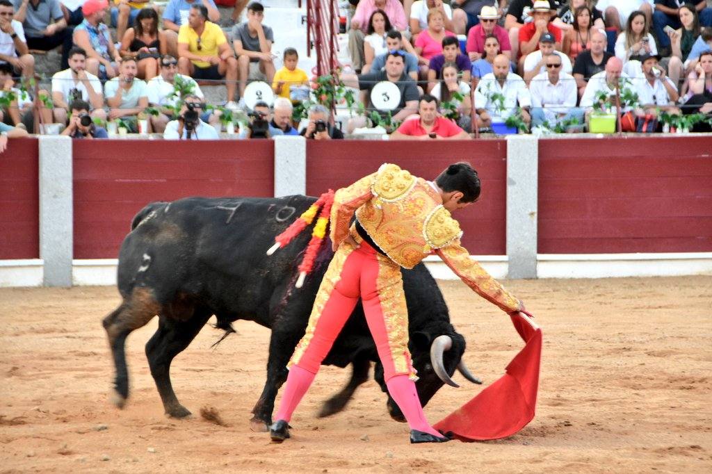 Las mejores imágenes de la novillada de la Feria de Guijuelo