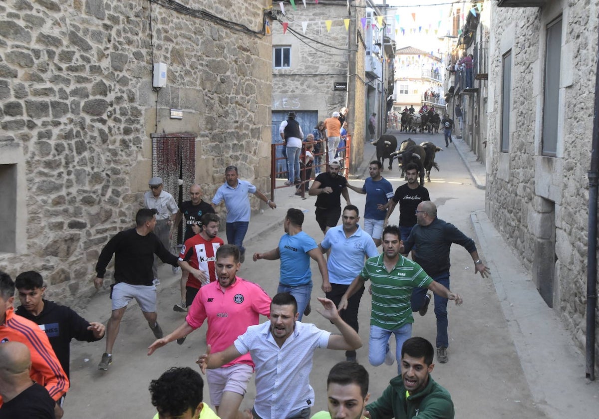 Uno de los tradicionales encierros de las fiestas de San Bartolomé del pasado año en Aldeadávila de la Ribera