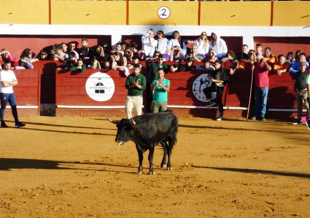 Cuatro pases en cada encierro de Macotera