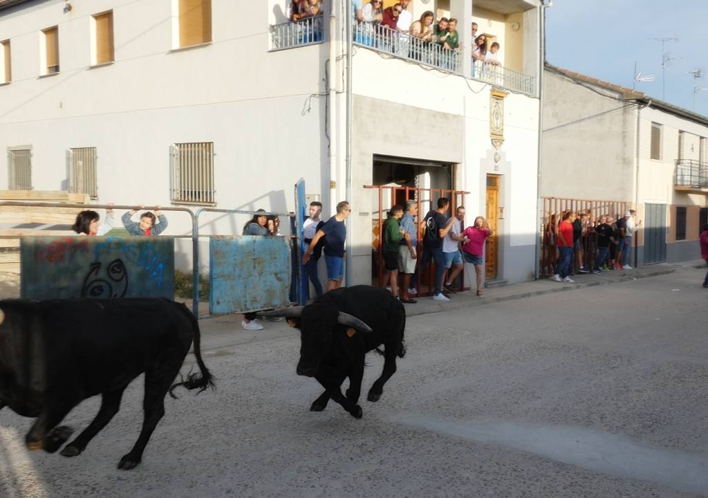 Derroche de emoción en el tercer encierro de Macotera