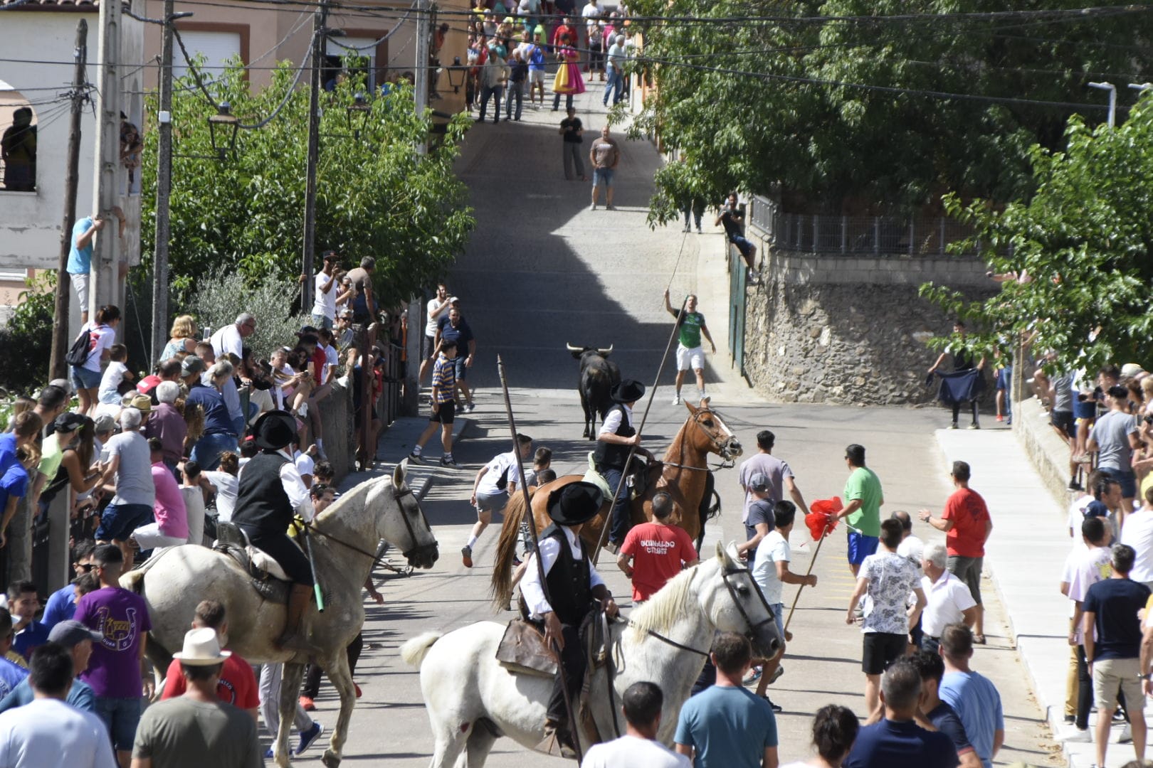 Las mejores imágenes del primer encierro en Fuenteguinaldo