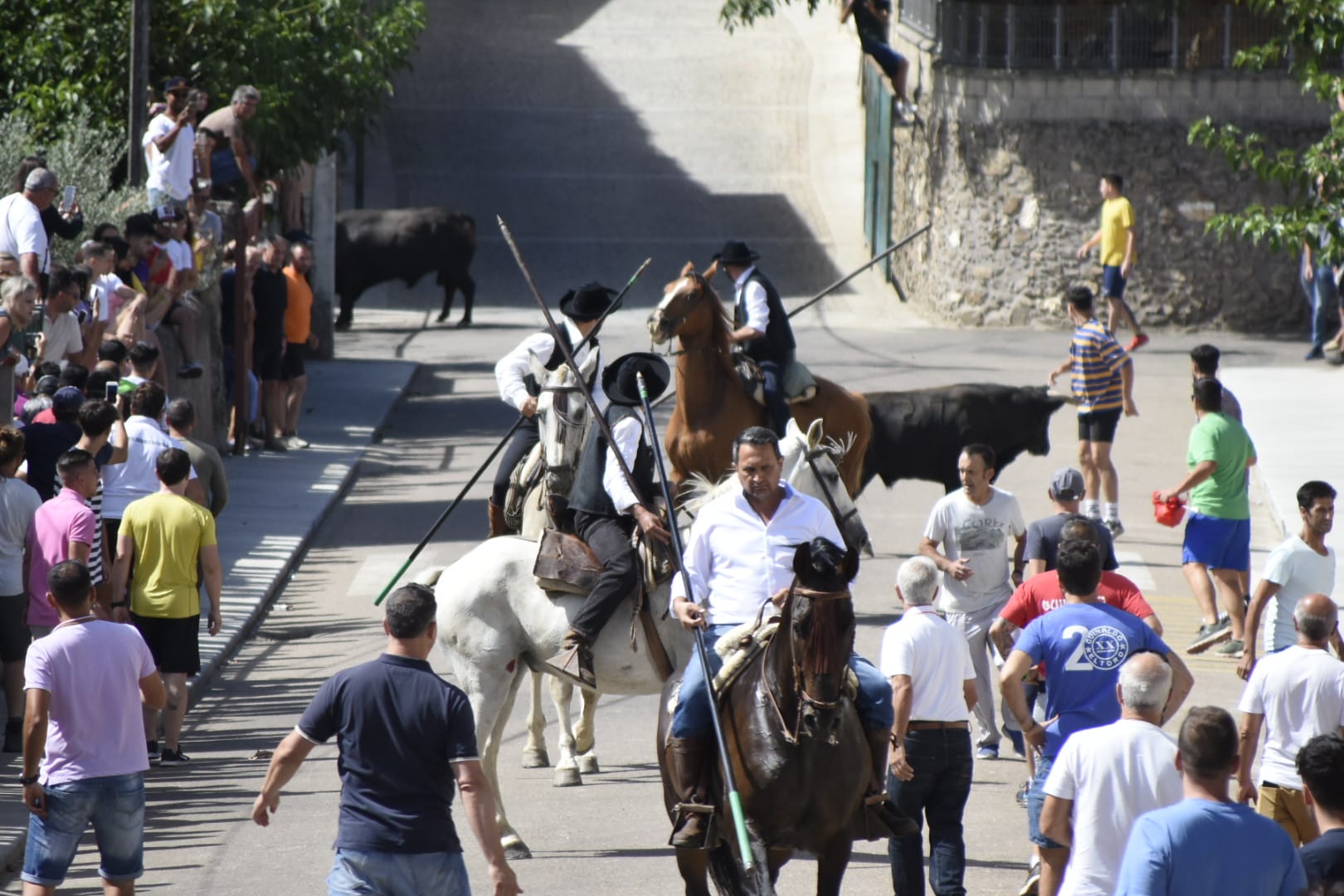 Las mejores imágenes del primer encierro en Fuenteguinaldo