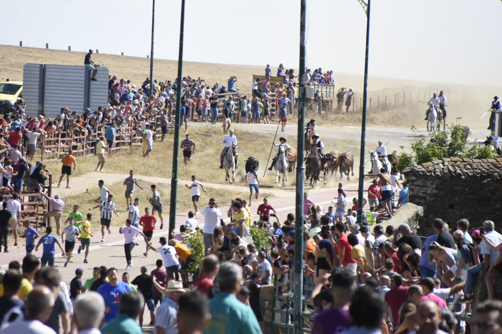 Las mejores imágenes del primer encierro en Fuenteguinaldo