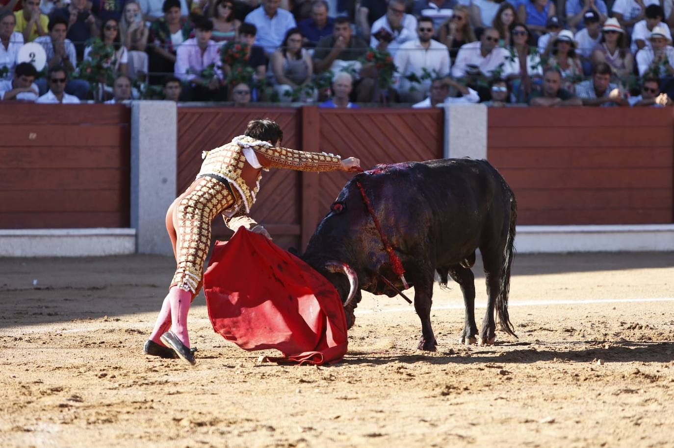 Las mejores imágenes del festejo de El Juli, El Capea y López Chaves en Guijuelo