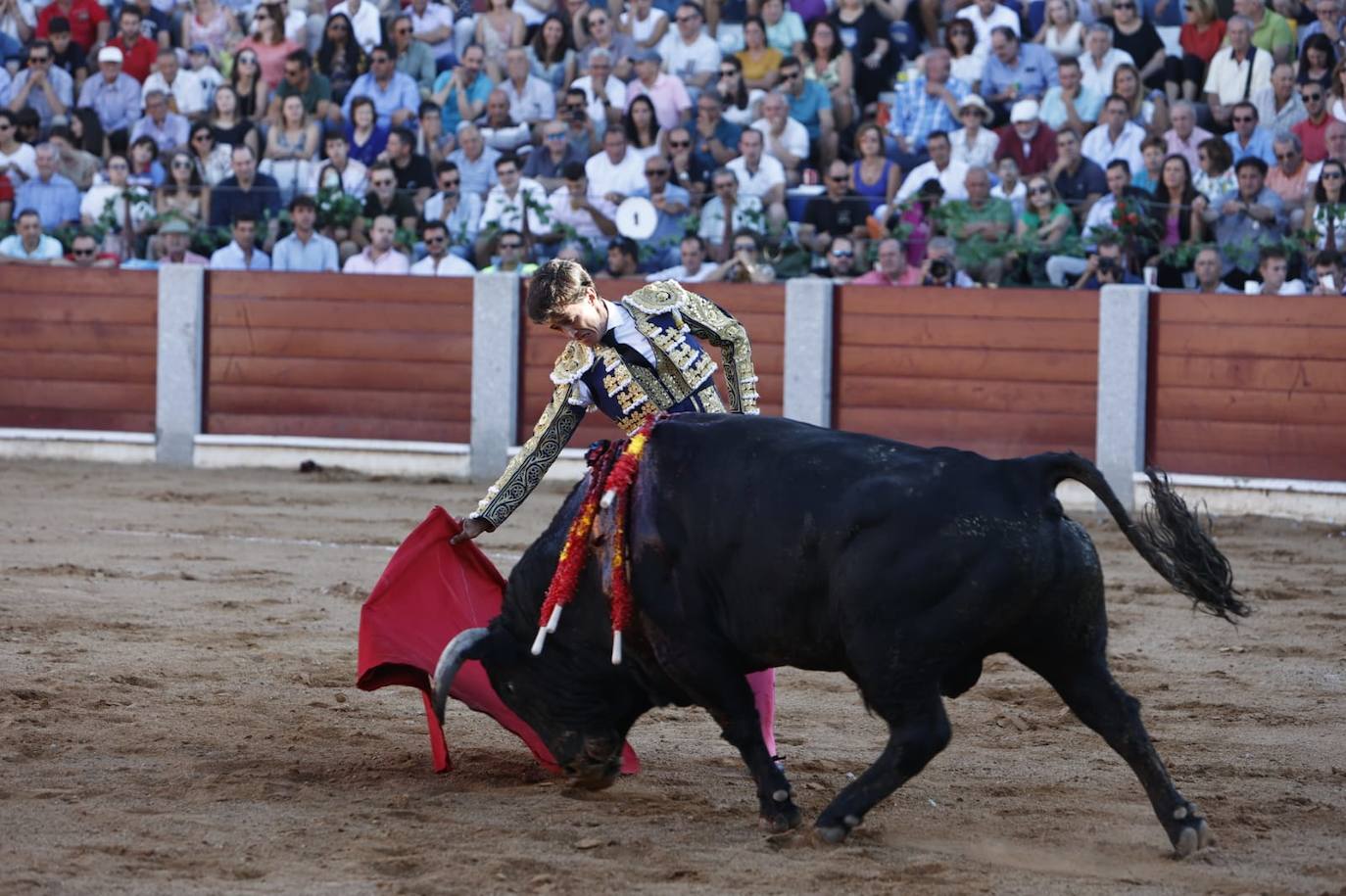 Las mejores imágenes del festejo de El Juli, El Capea y López Chaves en Guijuelo