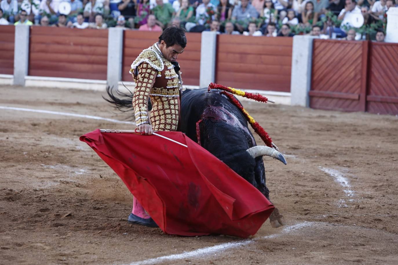 Las mejores imágenes del festejo de El Juli, El Capea y López Chaves en Guijuelo