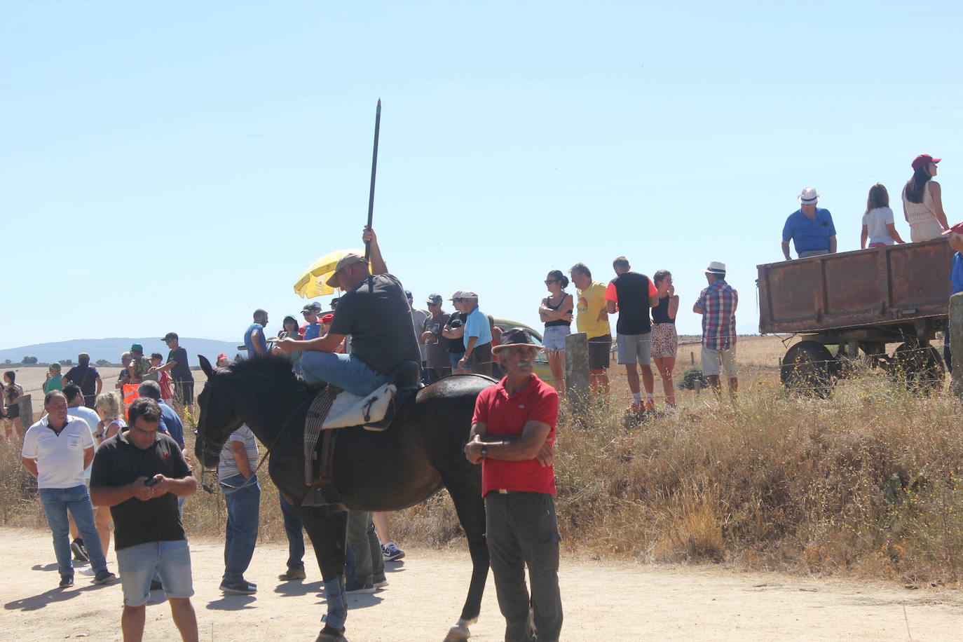 Los novillos se rebelan en Villar de la Yegua