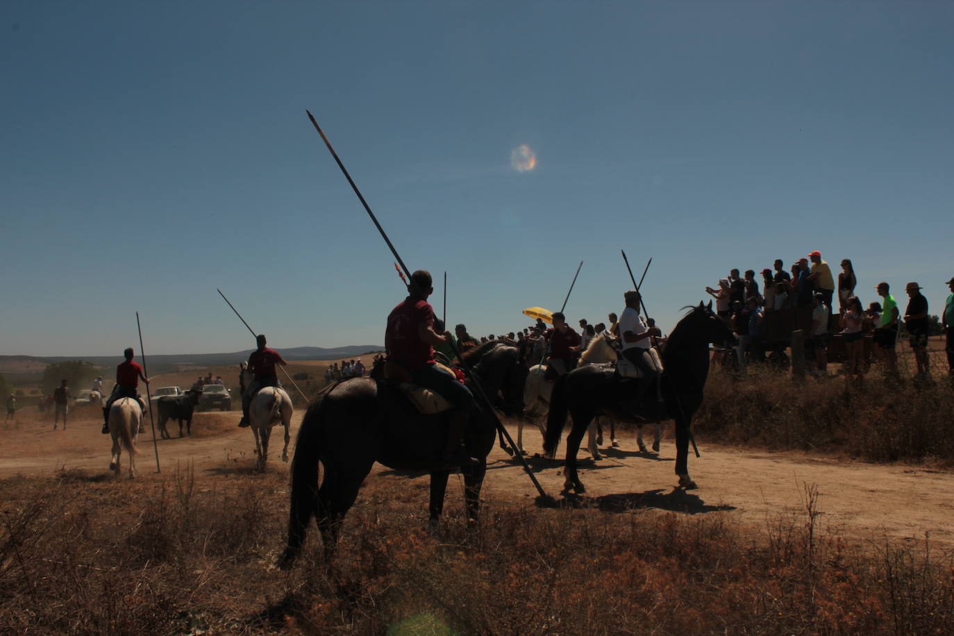 Los novillos se rebelan en Villar de la Yegua