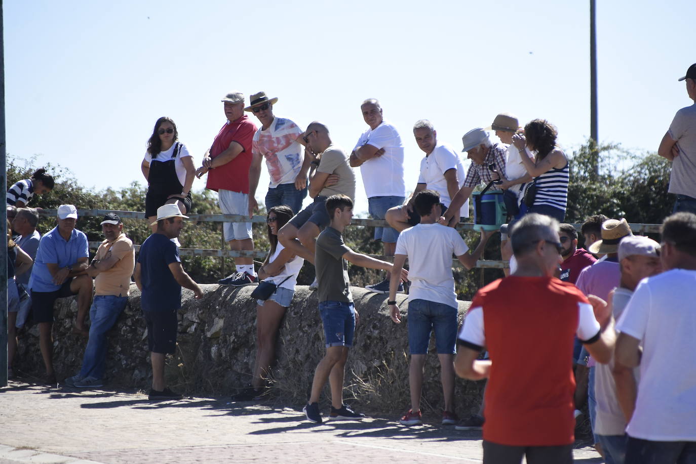 Reses bajo control en Fuenteguinaldo