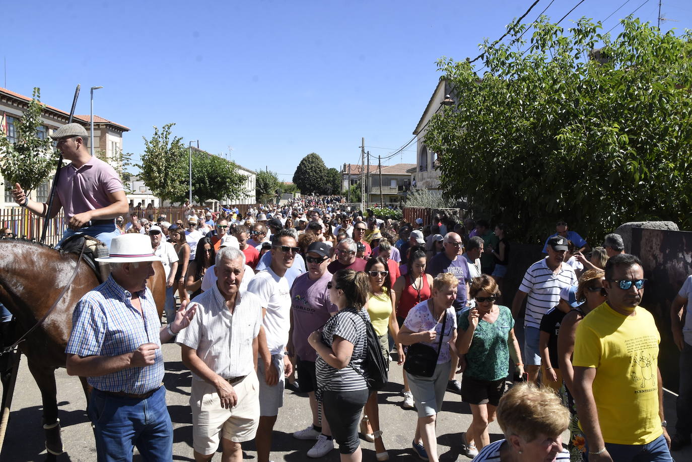 Reses bajo control en Fuenteguinaldo