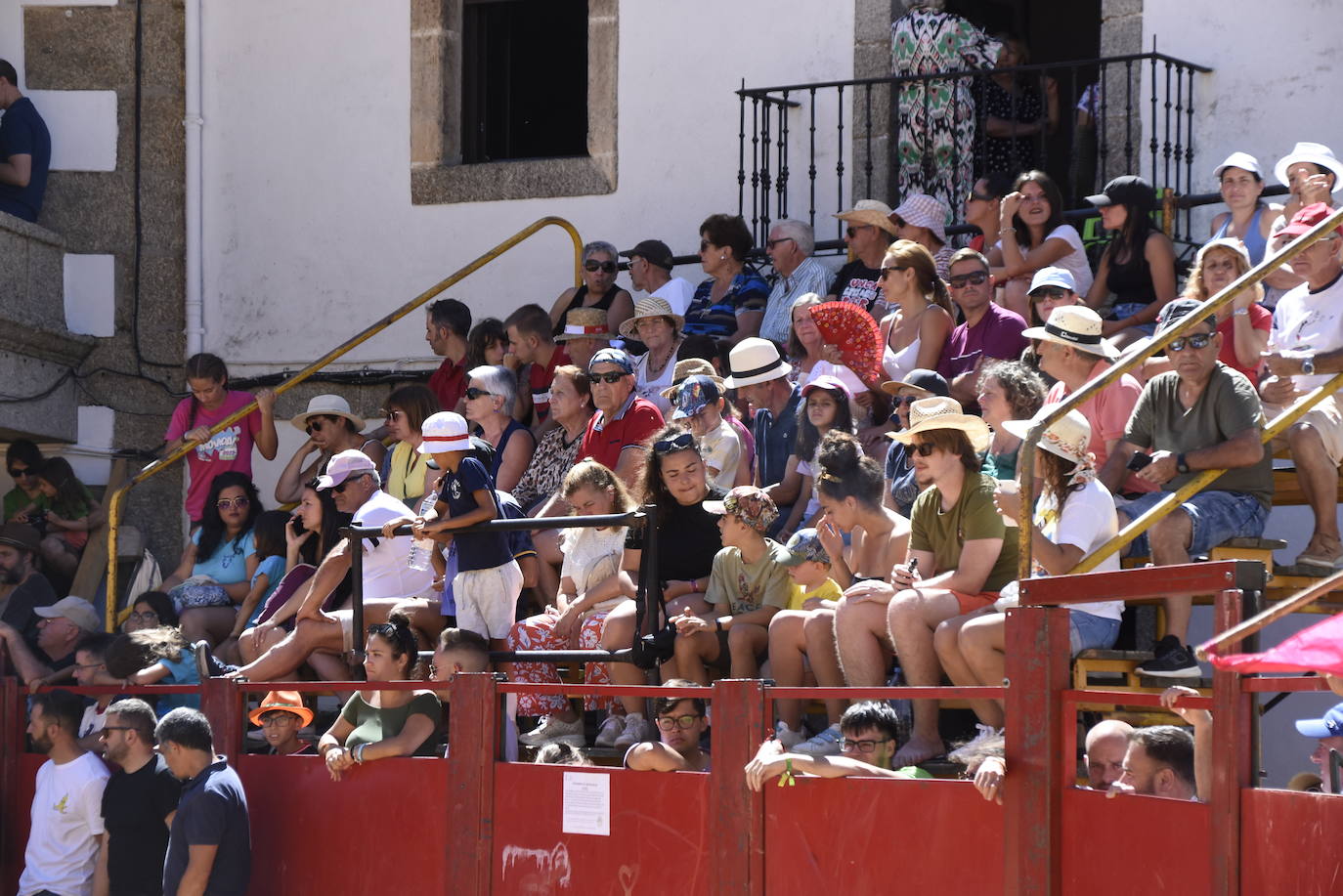 Reses bajo control en Fuenteguinaldo
