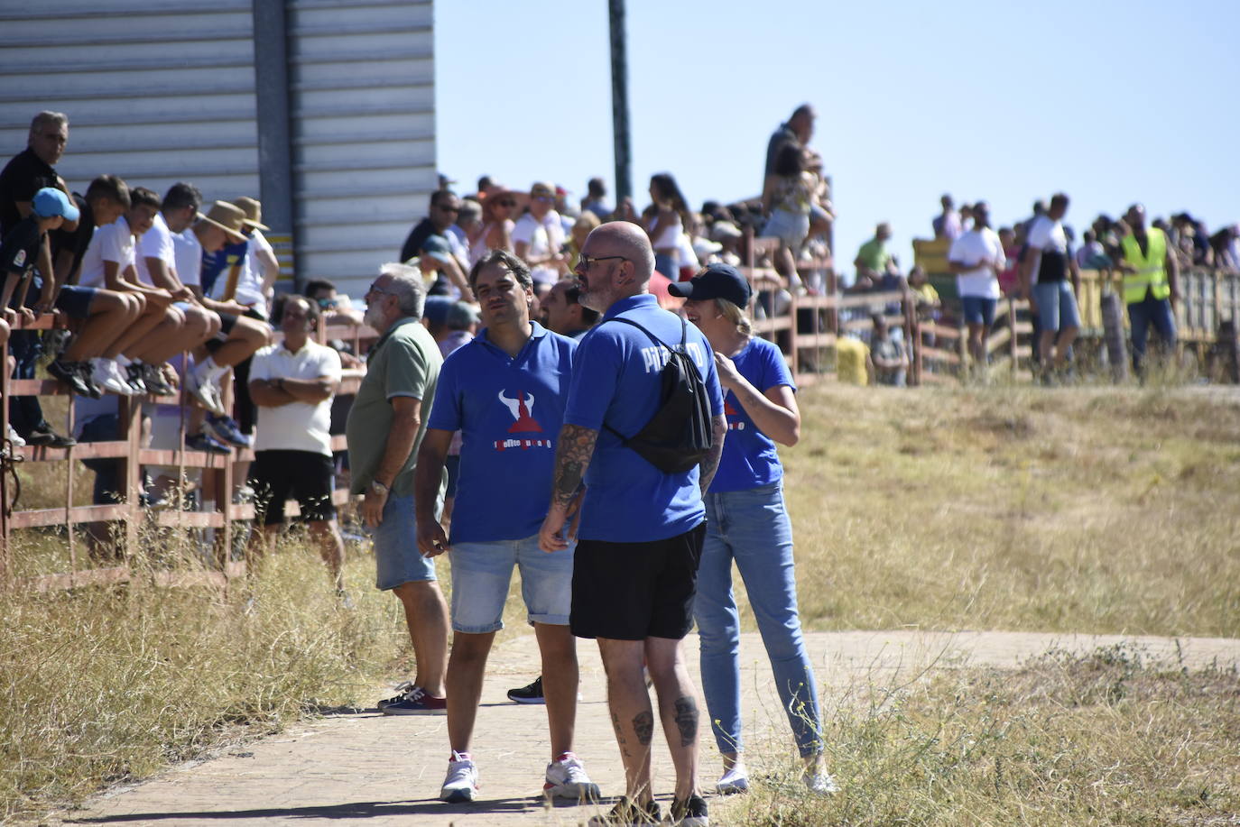 Reses bajo control en Fuenteguinaldo