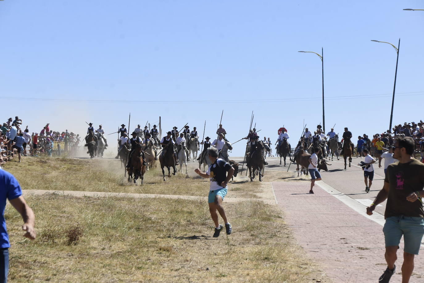 Reses bajo control en Fuenteguinaldo