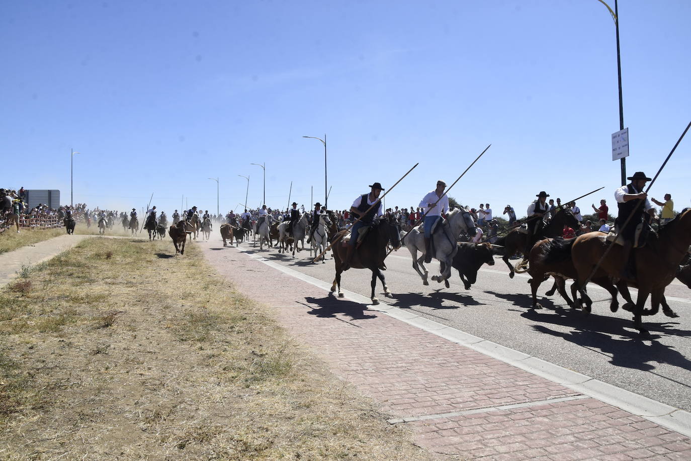 Reses bajo control en Fuenteguinaldo