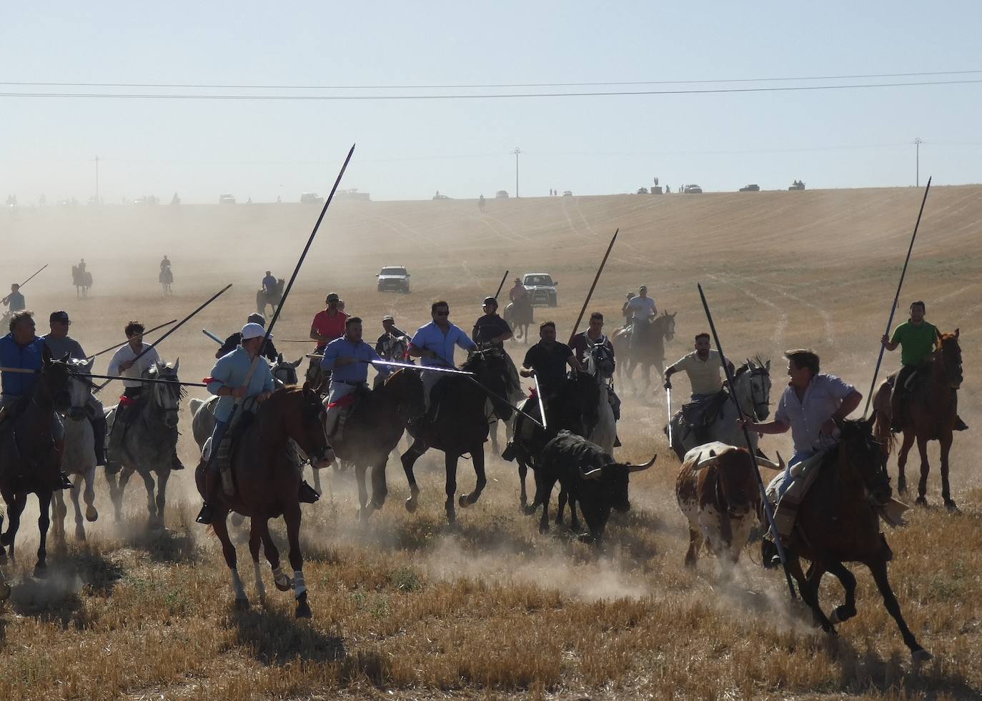 Cientos de jinetes en el XXI encierro campero de Macotera