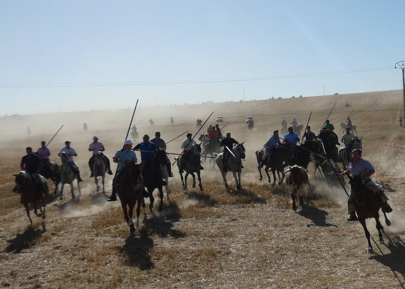 Cientos de jinetes en el XXI encierro campero de Macotera