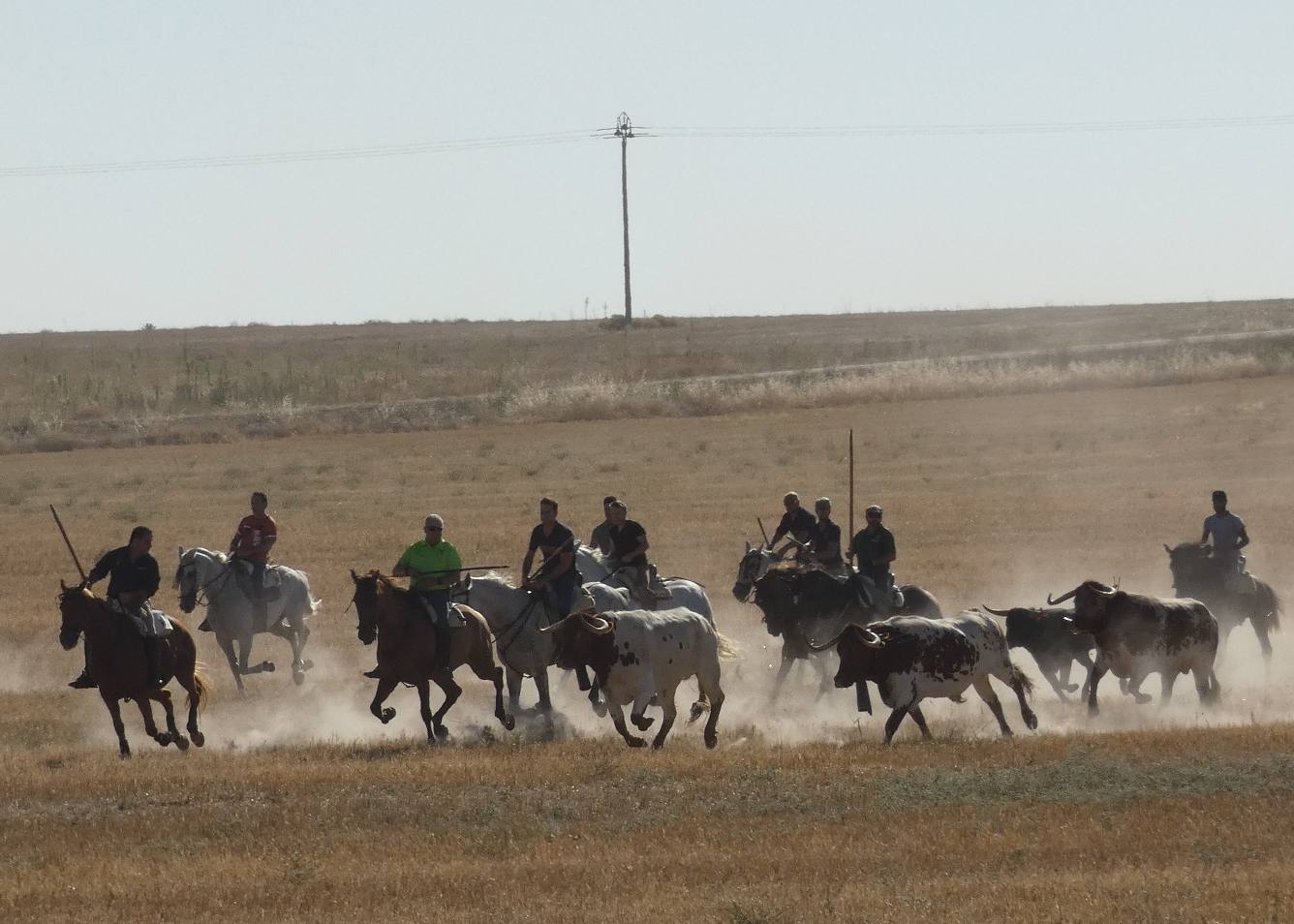 Cientos de jinetes en el XXI encierro campero de Macotera