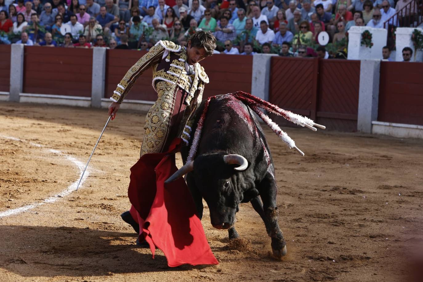 Las mejores imágenes del festejo de Talavante, Castella y Diosleguarde en Guijuelo