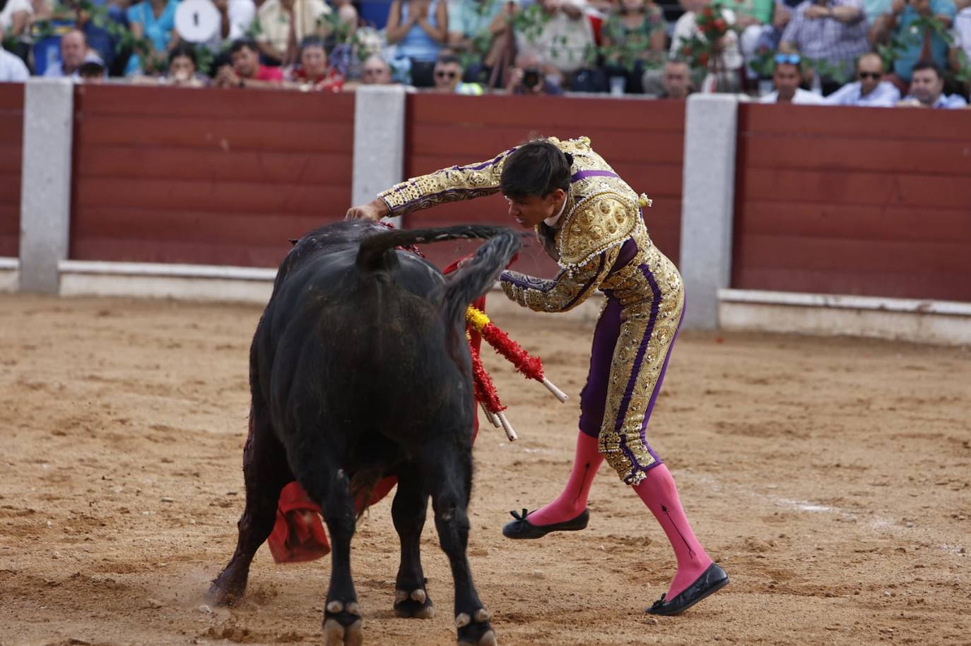 Las mejores imágenes del festejo de Talavante, Castella y Diosleguarde en Guijuelo