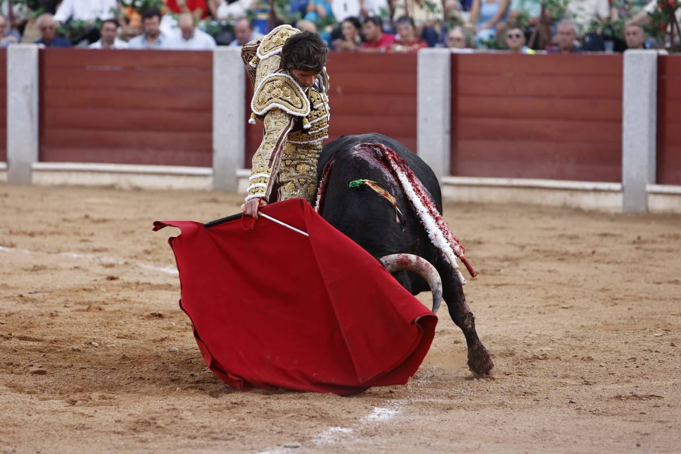 Las mejores imágenes del festejo de Talavante, Castella y Diosleguarde en Guijuelo