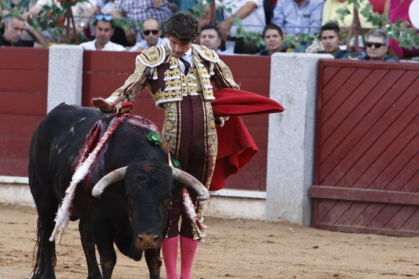 Las mejores imágenes del festejo de Talavante, Castella y Diosleguarde en Guijuelo