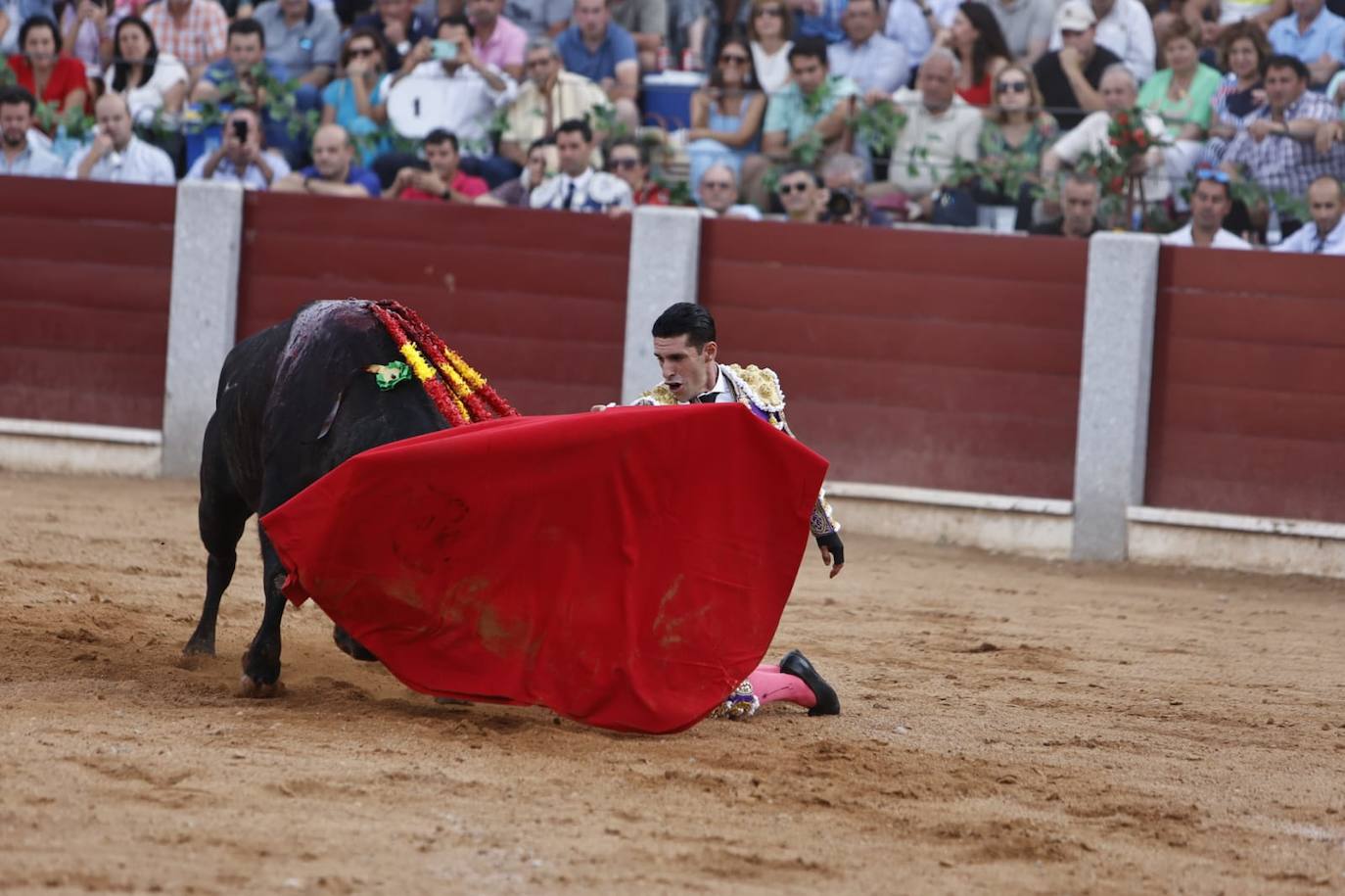 Las mejores imágenes del festejo de Talavante, Castella y Diosleguarde en Guijuelo