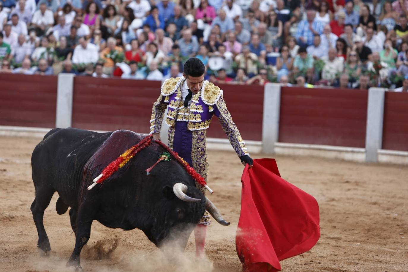 Las mejores imágenes del festejo de Talavante, Castella y Diosleguarde en Guijuelo