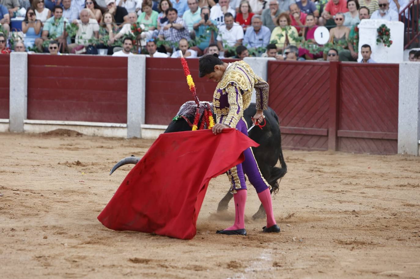 Las mejores imágenes del festejo de Talavante, Castella y Diosleguarde en Guijuelo