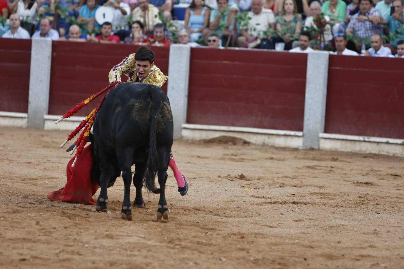 Las mejores imágenes del festejo de Talavante, Castella y Diosleguarde en Guijuelo