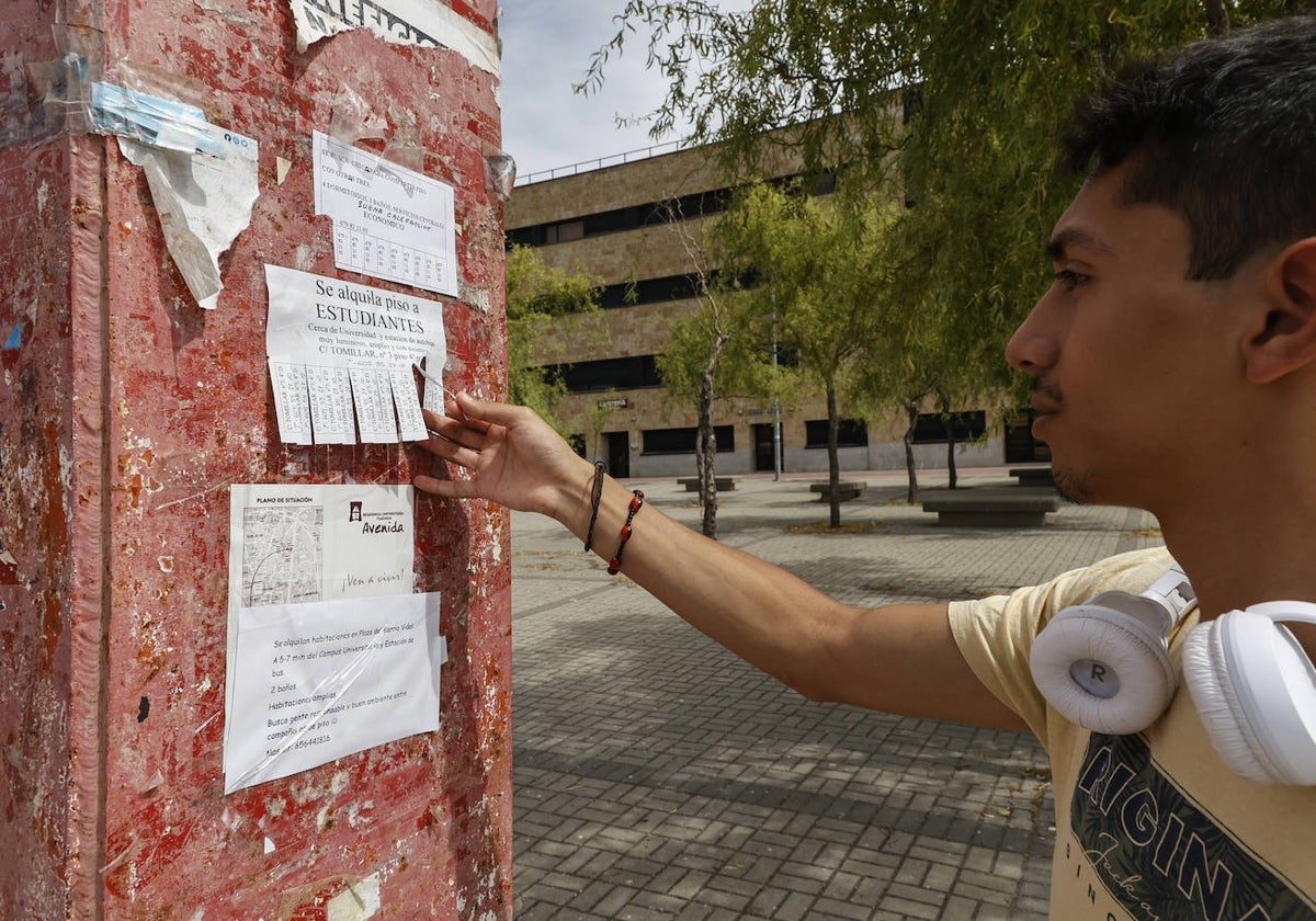 Un joven revisa las ofertas de alquiler pegadas en el mobiliario urbano del Campus Unamuno.