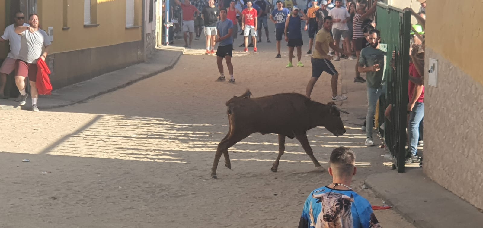 Calzada de Valdunciel disfruta al máximo con el encierro urbano