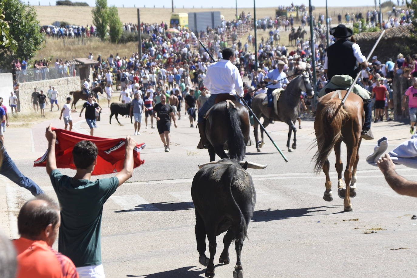 Herido un caballo en un deslavazado y largo tercer encierro guinaldés