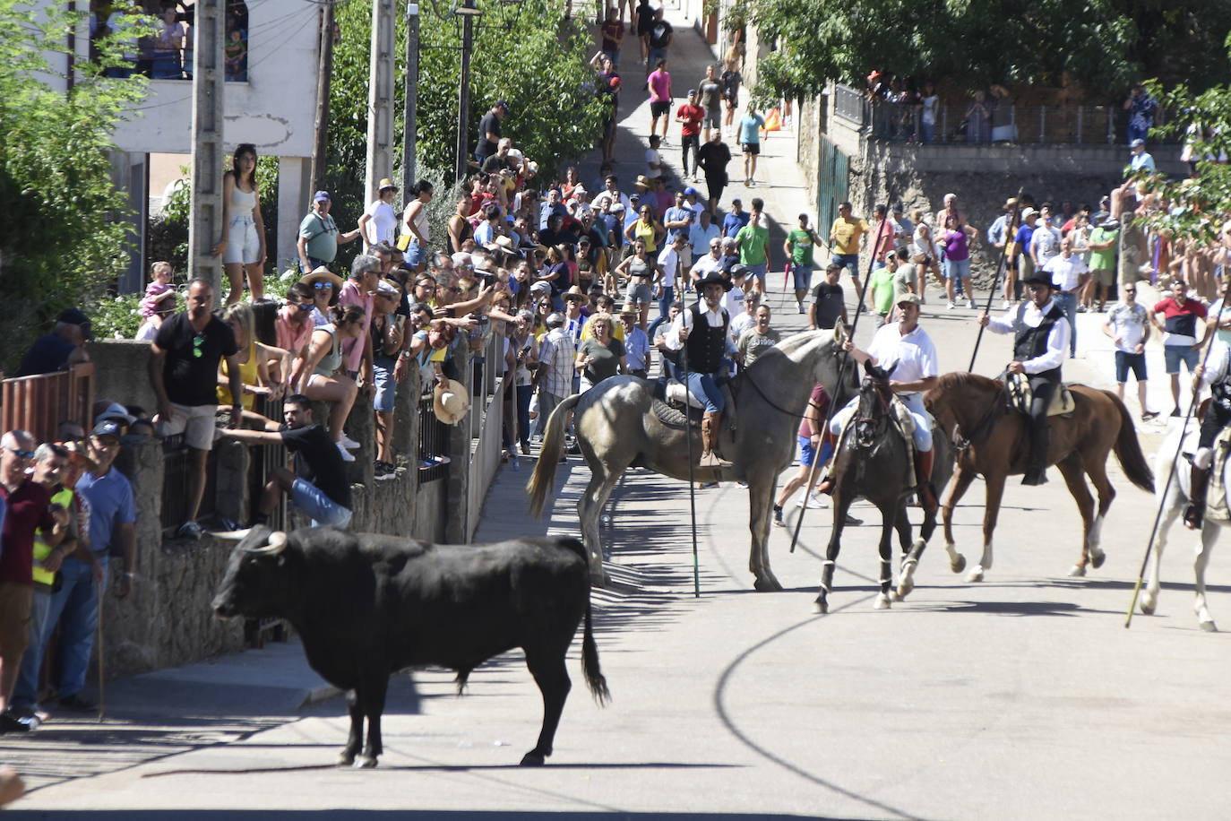 Herido un caballo en un deslavazado y largo tercer encierro guinaldés