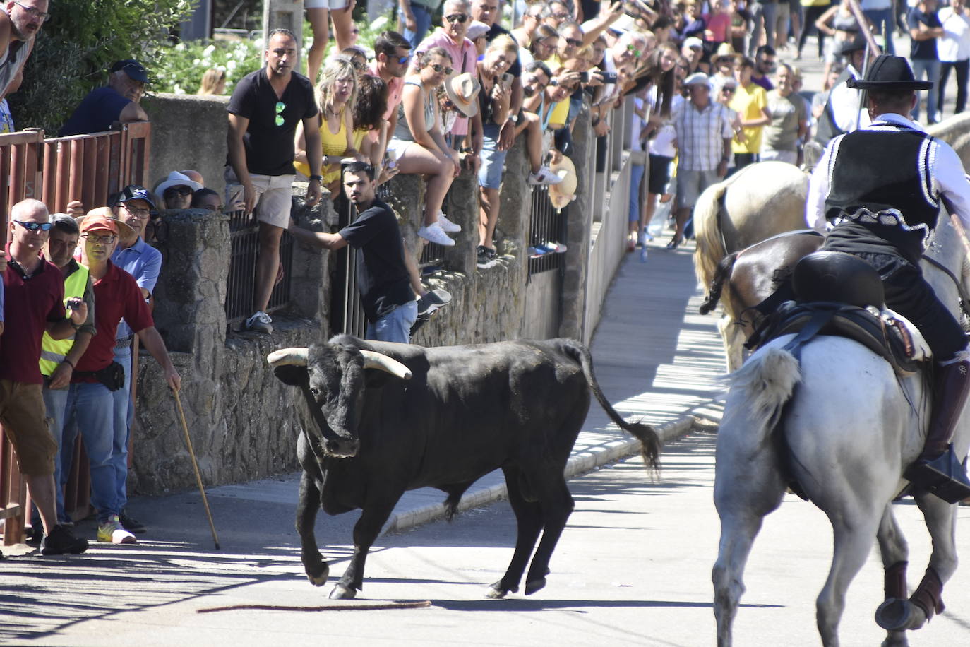 Herido un caballo en un deslavazado y largo tercer encierro guinaldés