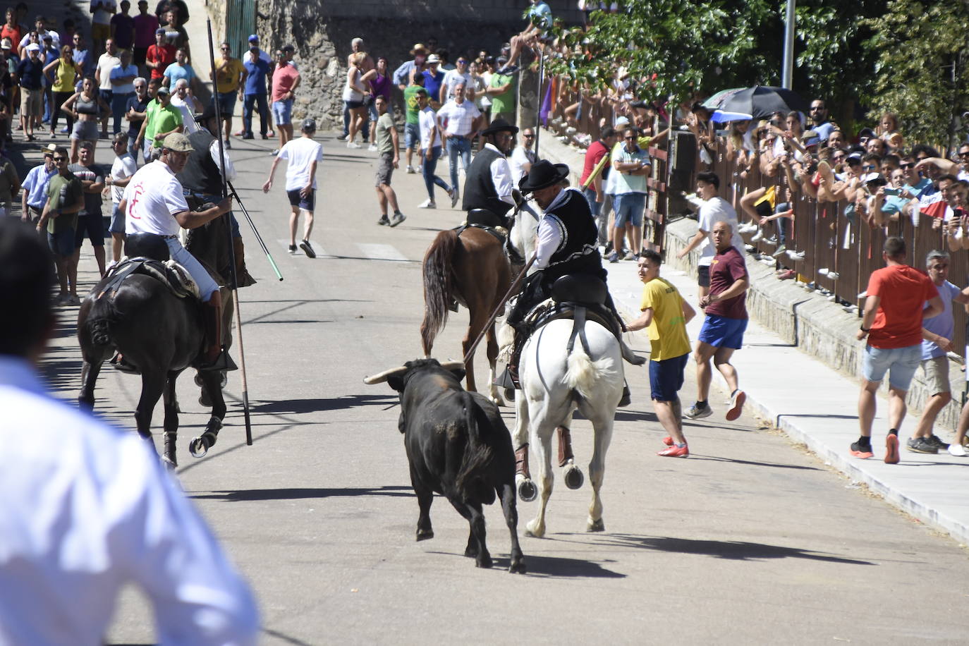 Herido un caballo en un deslavazado y largo tercer encierro guinaldés