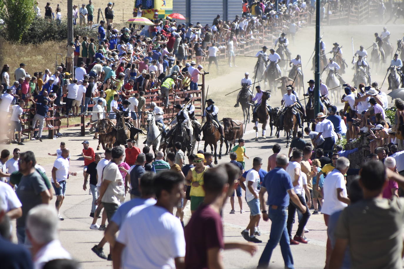 Herido un caballo en un deslavazado y largo tercer encierro guinaldés