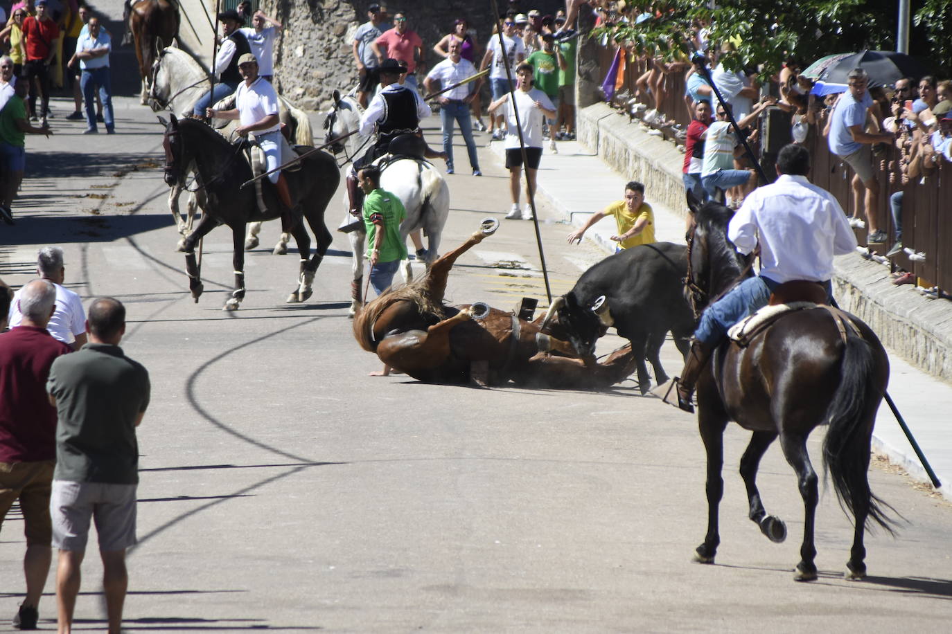 Herido un caballo en un deslavazado y largo tercer encierro guinaldés