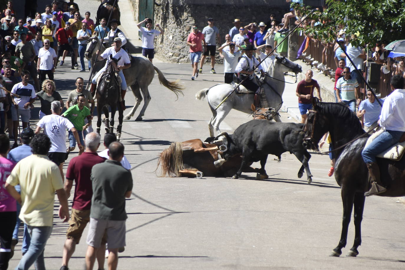 Herido un caballo en un deslavazado y largo tercer encierro guinaldés