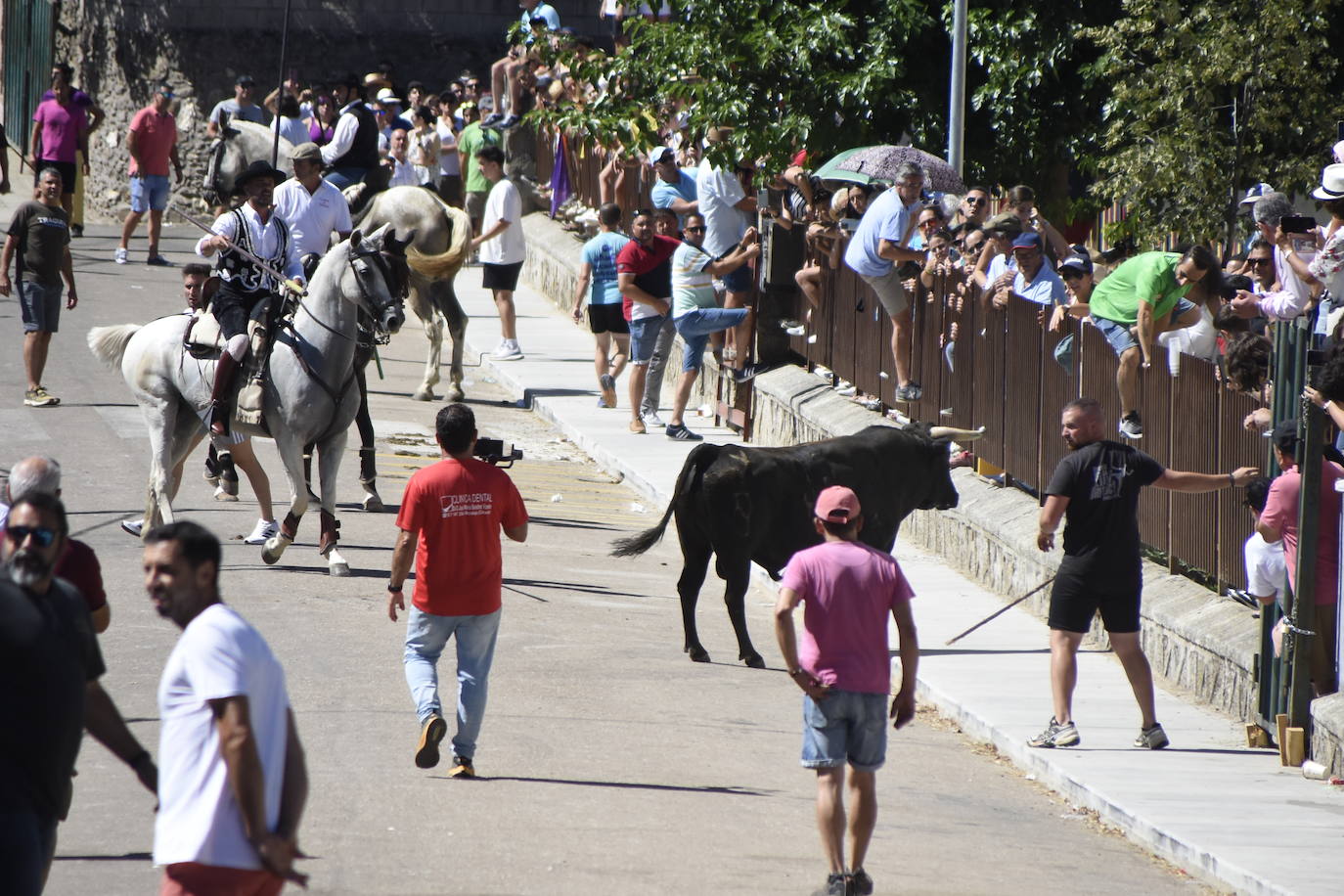 Herido un caballo en un deslavazado y largo tercer encierro guinaldés