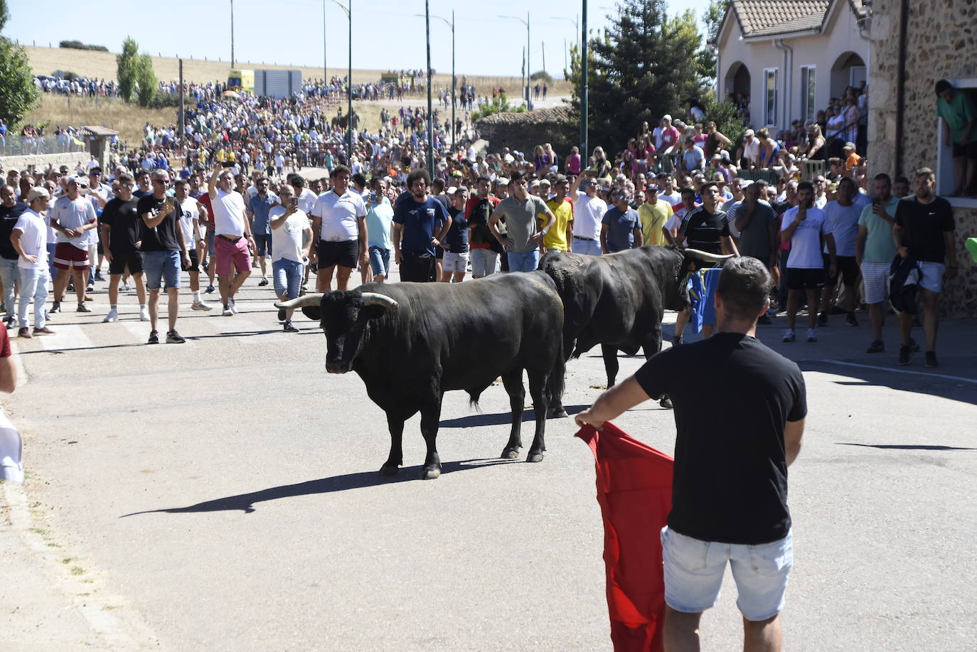 Herido un caballo en un deslavazado y largo tercer encierro guinaldés