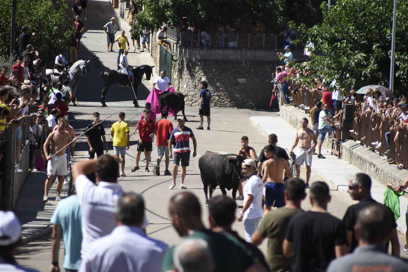 Herido un caballo en un deslavazado y largo tercer encierro guinaldés