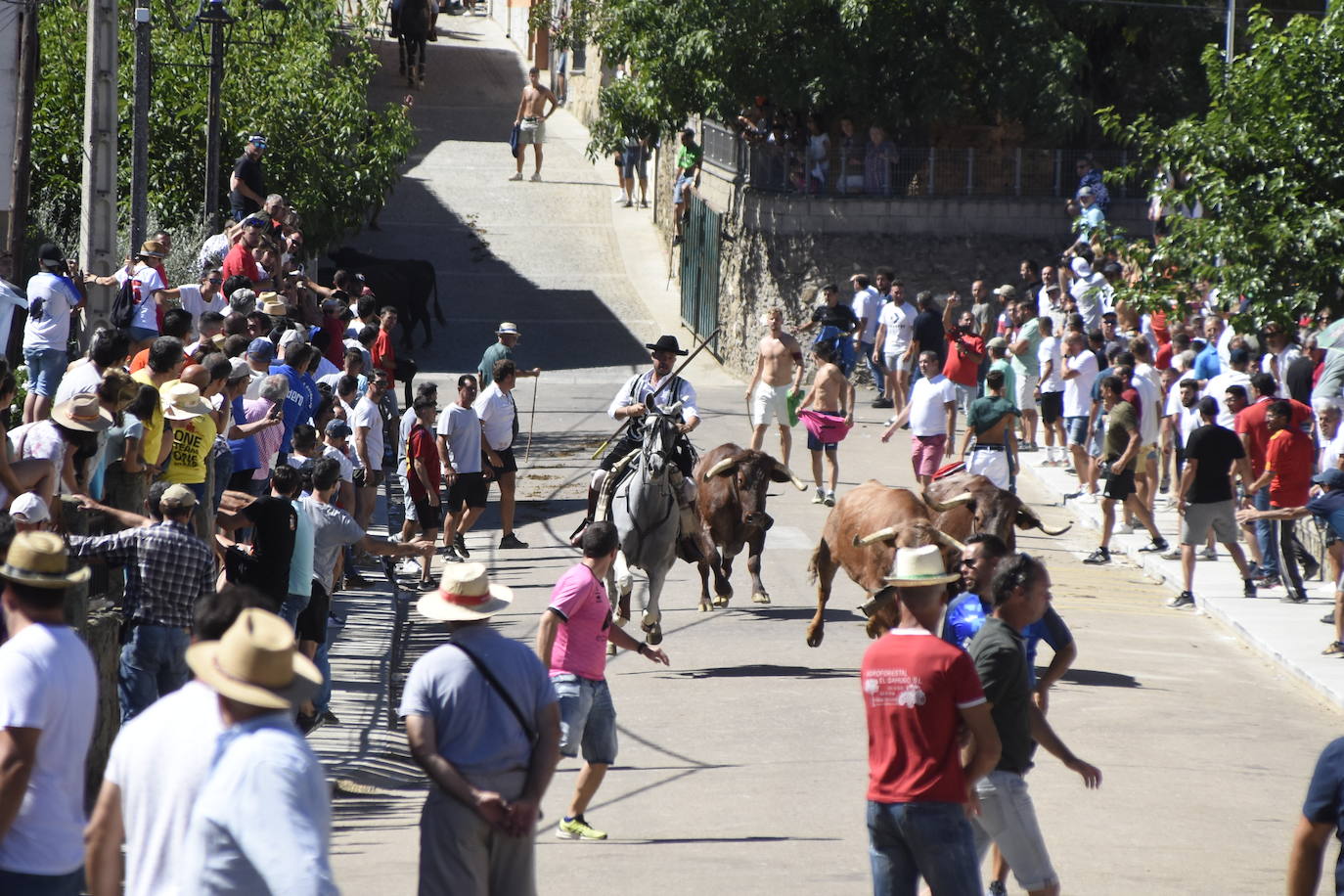 Herido un caballo en un deslavazado y largo tercer encierro guinaldés