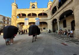 El espectáculo itinerante "Viudas alegres", de Brama Teatro, en la Plaza Mayor de Ciudad Rodrigo