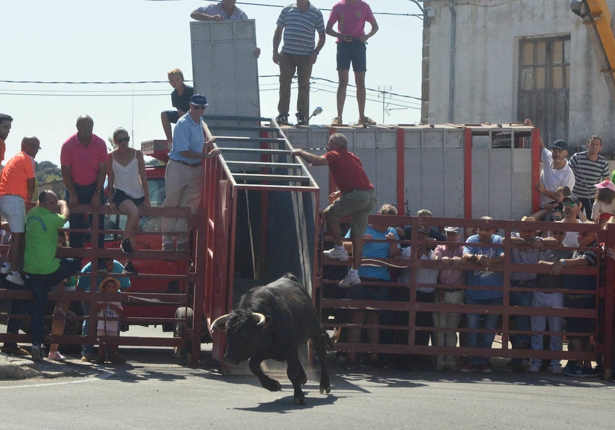 Entrega total a la patrona en Villavieja