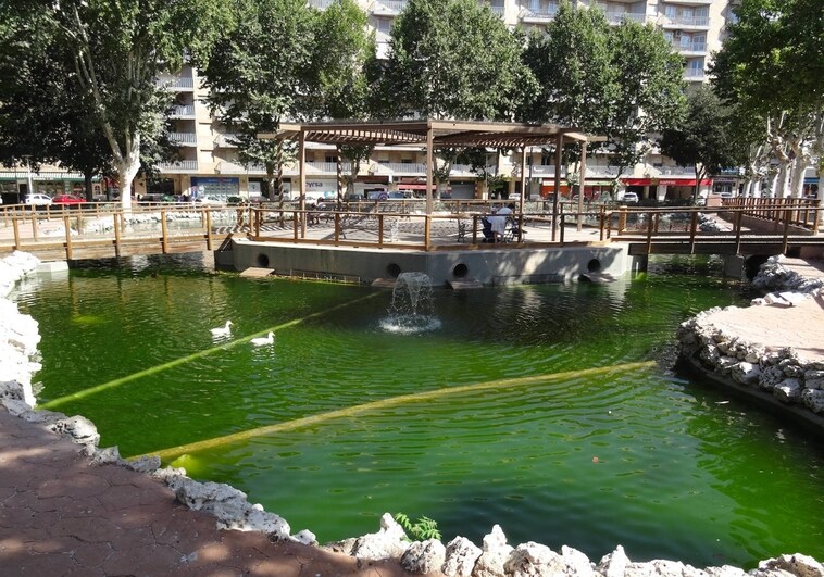 El agua del estanque de La Alamedilla, verde después de su reciente limpieza.