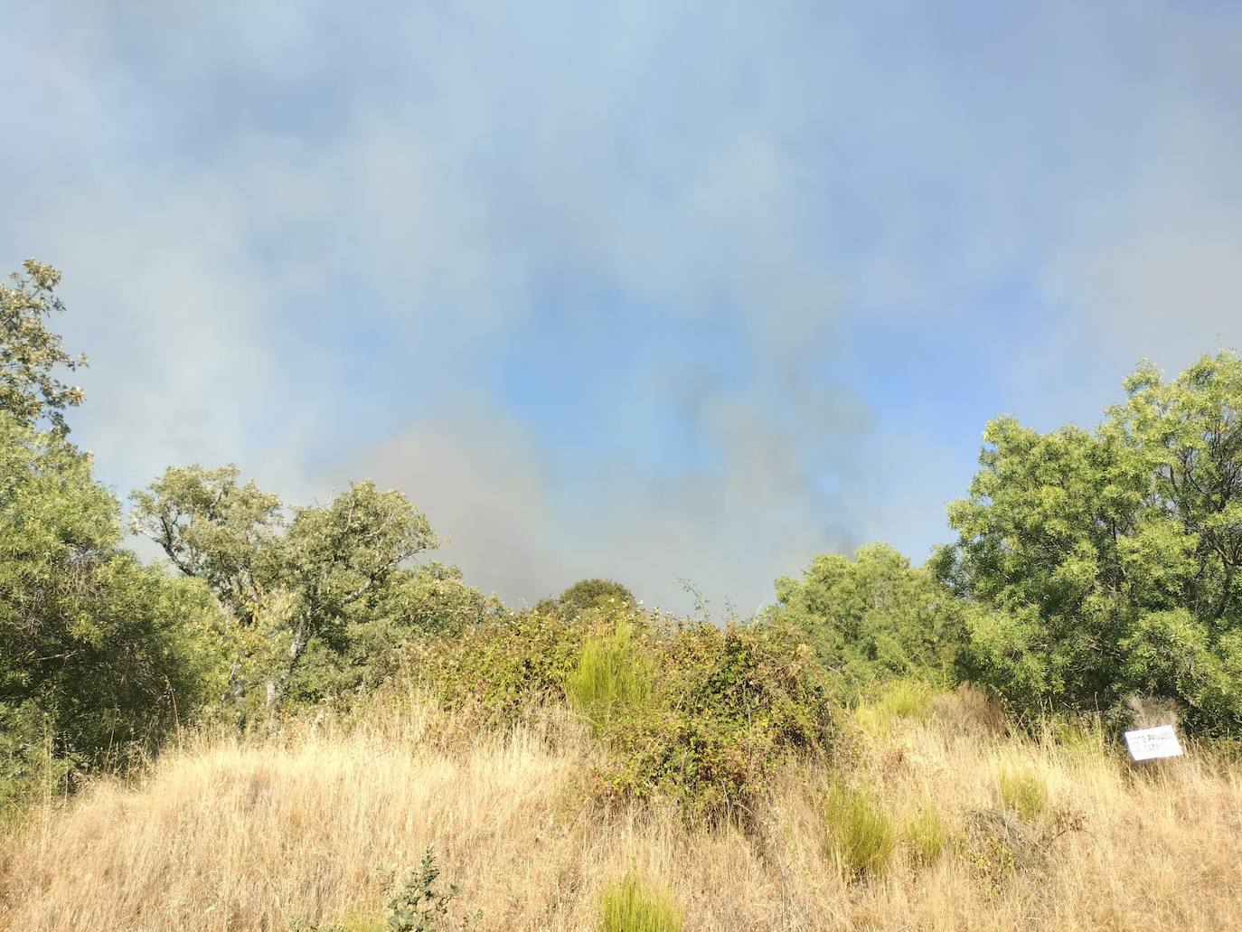 Las imágenes del incendio que asustó a los vecinos de Navacarros y Vallejera