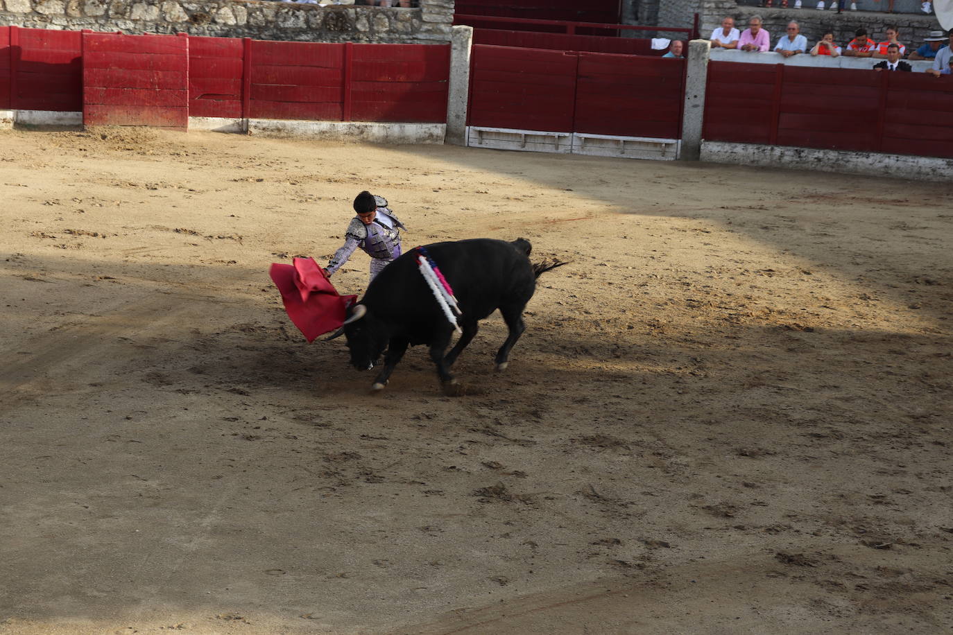 Peñas y toros, animada tarde festiva en el coso de Los Santos