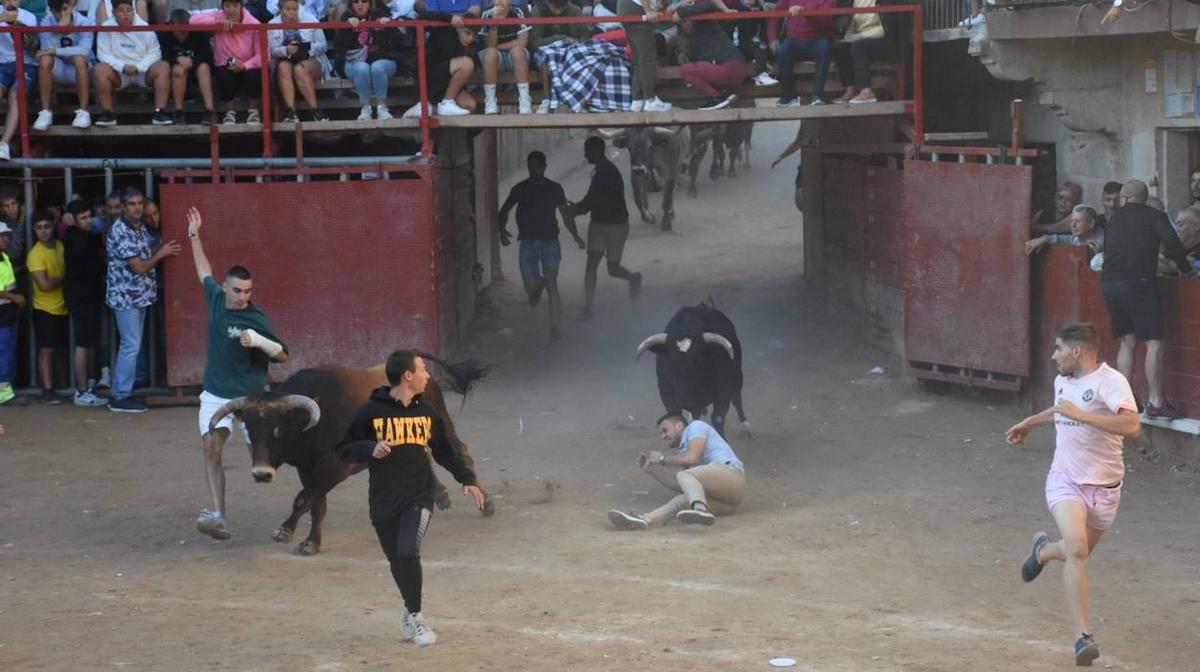 Tremendo susto en el segundo encierro de Aldeadávila de la Ribera