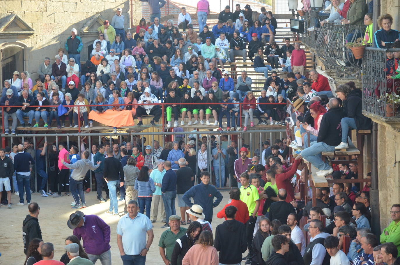 Precisión milimétrica en el penúltimo encierro a caballo de Aldeadávila de la Ribera