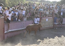 Vaquillas en fiestas.